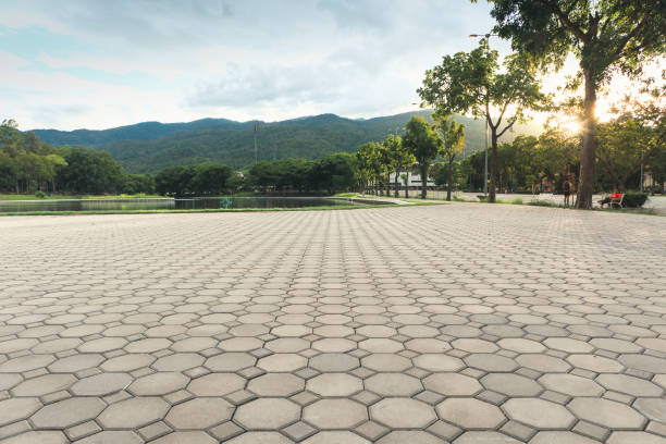 Best Driveway Paving Contractor  in Beulaville, NC