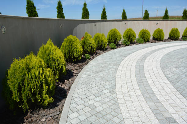 Best Custom Driveway Pavers  in Beulaville, NC